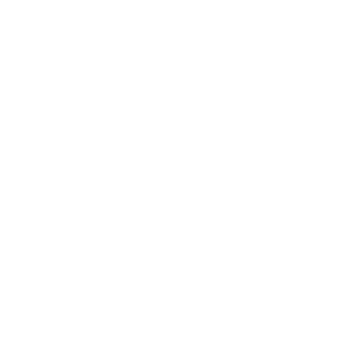 Radu Store